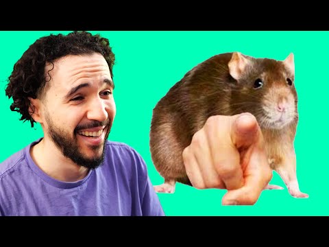 THESE TOP 5 LISTS WILL MAKE YOU CLICK 😂