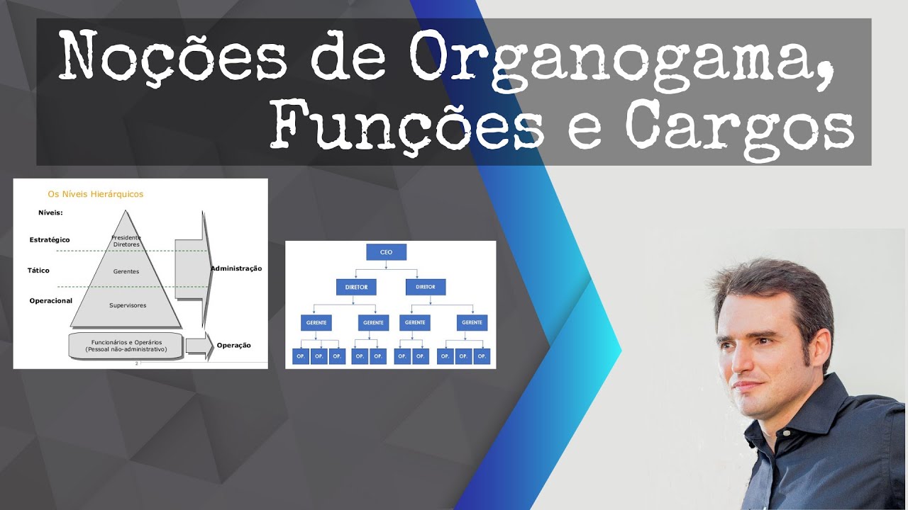 Noções de Organograma e Funções dentro da Empresa