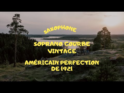saxophone soprano courbe américain perfection de 1921