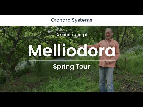 Melliodora Orchard Systems (excerpt)