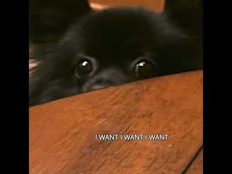 MICKEY DARLING - I WANT I WANT I WANT (audio)