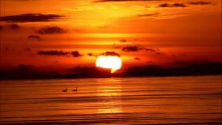 Samuelzone - Intox Rox (Original Mix).mp3.wmv