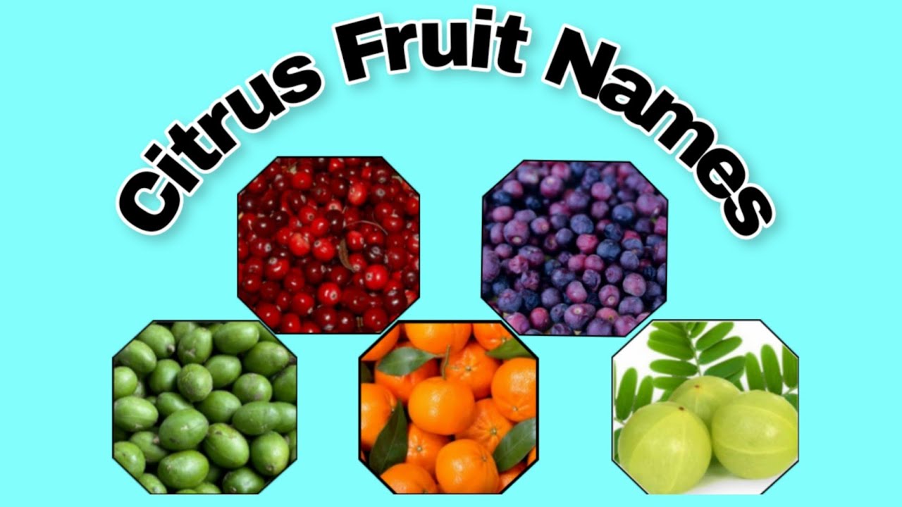 Citrus Fruits' ( खट्टे फलों के नाम ) name in English and Hindi both By Shruti Ma'am