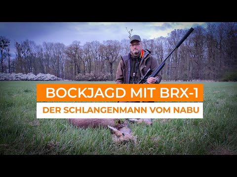 beretta: Praxistest: Beretta BRX1 mit Burris Four Xe 2,5-10x50 Zielfernrohr und STEINER Nighthunter C35 Wärmebildgerät. Was kann die Kombi?