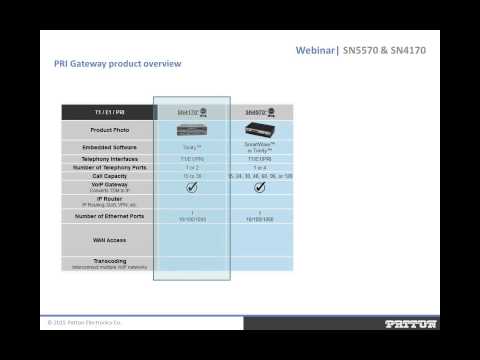 New PRI E1 T1 Session Border Router - Channels Only