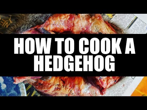 Roadkill: How To Cook A Hedgehog