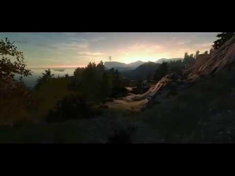 Oracle youtube-video