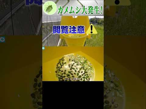 害虫駆除者としての昆虫の共有コミュニティ