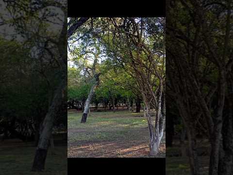 Camping Ibarreta Formosa
