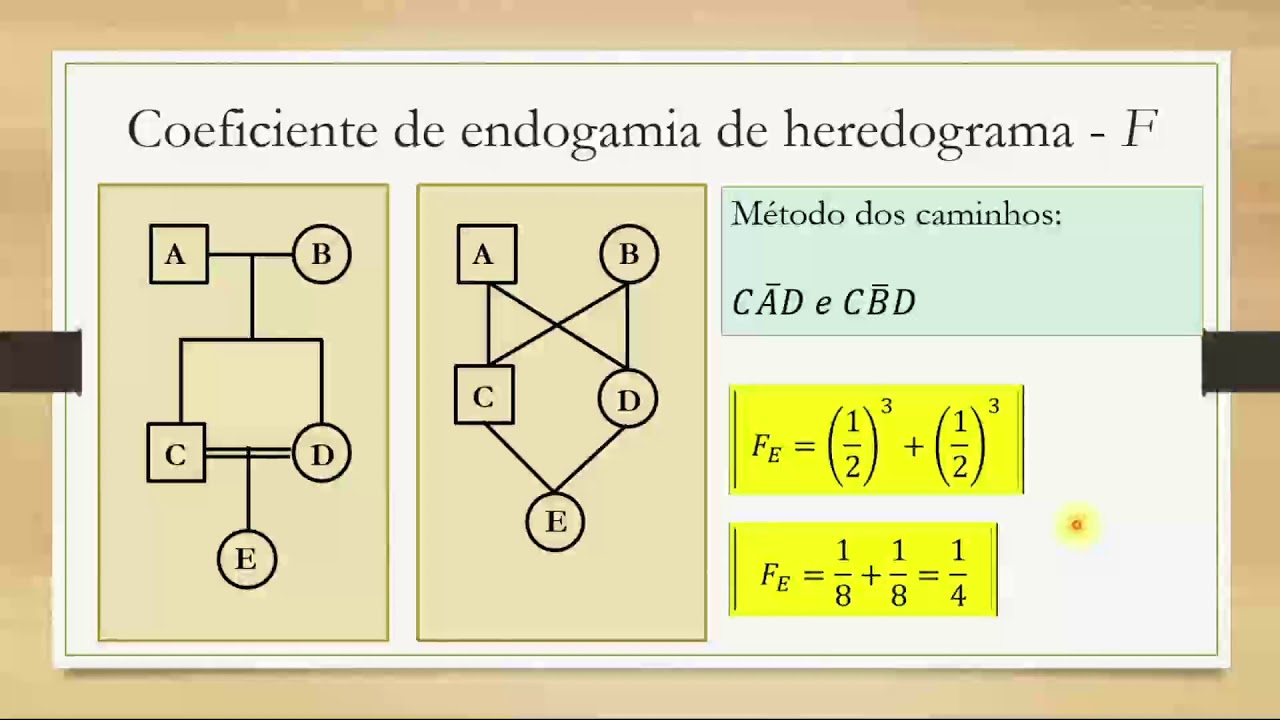 11 COEFICIENTE DE ENDOGAMIA DE HEREDOGRAMA 01
