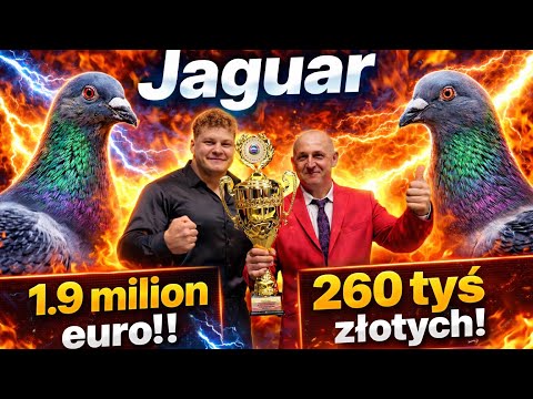 DENIS LABRYGA - FAMEMMA,PIOTR BUGAŁA,GOŁĄB JAGUAR,260tyś rekord1.9mln euro(NAJMAN,MURAN,ELIMINATOR