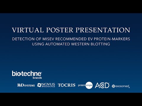 Detection of MISEV recommended EV Protein-Markers using Automated Western Blotting