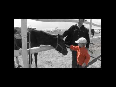 Pátyi Lovascentrum és Terápiás Park videóklip