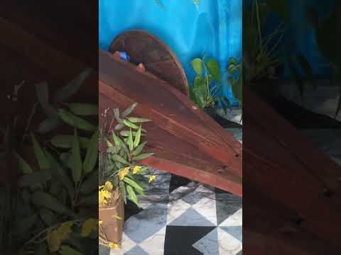 Munhoz unido pelo bem. 🌾💗 #minasgerais