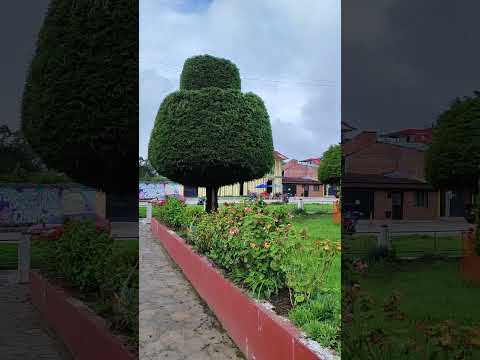 La tranquilidad de Murillo Tolima 🇨🇴