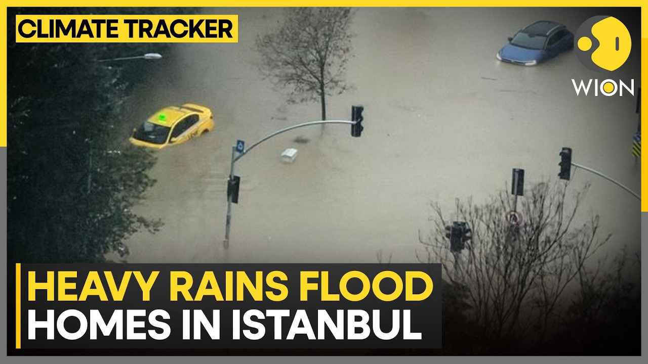 Turkey Floods: Heavy Rains Flood Homes And Submerge Vehicles In Istanbul | WION Climate Tracker