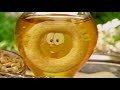 Honey Nut Cheerios 2000 Commercial