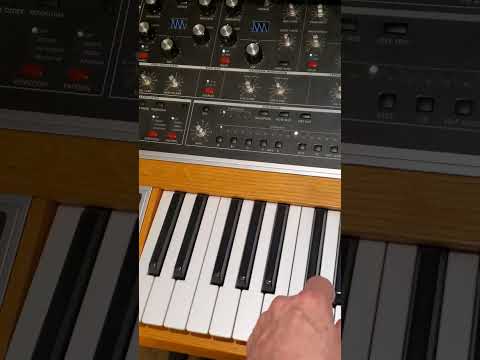 Help! Buy this MOOG ONE 16 voice before it loses any more knobs! Guitar Center Denver!