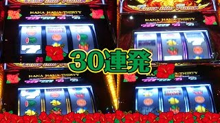 咲いて咲いて咲きまくる！ハナハナ鳳凰のハイビスカス無双３０連発！