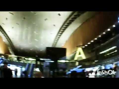 Thailand Phuket elephants Patong Similan Surim James Bond Coral Freedom Beach Snorkeling Тайланд