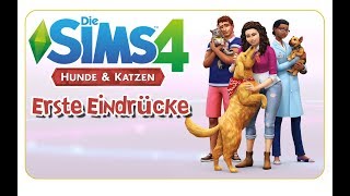 Die Sims 4: Hunde & Katzen - Erste Eindrücke [CAS, Möbel, Katzen, Hunde & more]