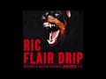 Offset & Metro Boomin- Ric Flair Drip (Instrumental w/Hook)