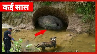 😯वैज्ञानिक भी हैरान Mysterious Scariest Archaeological Discoveries#Shorts#Facts