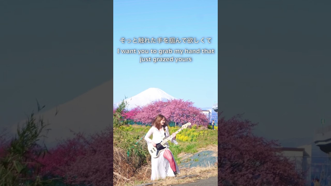 やないも。「花見デート」富士山と桜の絶景編