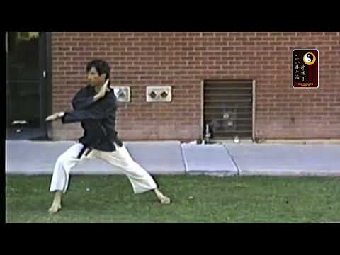 Pinan 5 – Shihan Robert Cusumano
