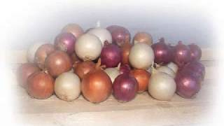 cipollina 1987 Bromuro (versione completa 45 giri)   (F.De Nuzzo G.Baratto)