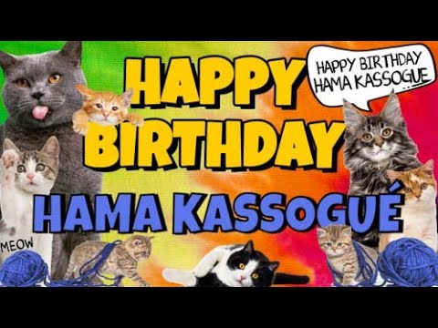 Funny Happy Birthday Hama Kassogué Song Epic Talking Cats What Is Free On My Birthday