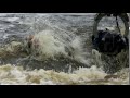 1917 River Rapids At Water Park