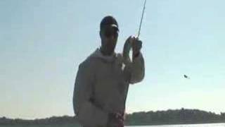 preview picture of video 'Marion, Ohio smallmouth at Killdeer Plains'