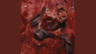 Flesh-Eating Disease (Flu-Like Symptoms of E-Coli with Complete Digestive Shutdown)