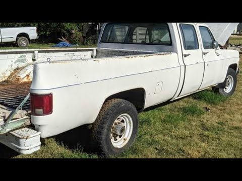 Old Crew Cab Squarebody Chevy forgotten in field for over a decade! Basic things to Get it Going!