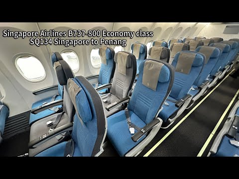 Miniatura YouTube dla Singapore Airlines Boeing 737-800 Passenger