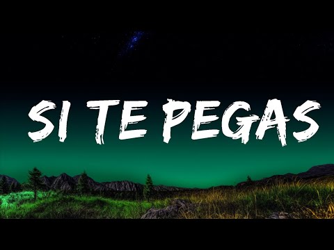 Rauw Alejandro x Miguel Bose - SI TE PEGAS | Top Best Songs