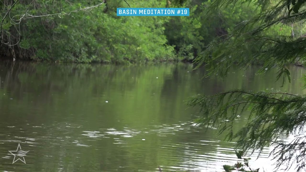 Peaceful Winds + Flowing River - Basin Meditation at Zarzamora Creek Greenway Park
