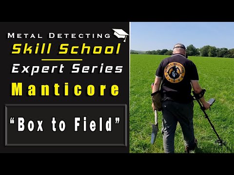 Minelab Manticore high performance out of the box my simple settings