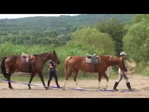 Dvůr Borčice tábor na koních 2015  L6 1080p
