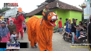 Download lagu KOPI DANGDUT | VOC. RINA || BUROK CINTA NADA BUDAYA || SHOW KUBANGSARI 15/06/21 mp3 Download lagu KOPI DANGDUT | VOC. RINA || BUROK CINTA NADA BUDAYA || SHOW KUBANGSARI 15/06/21 mp3