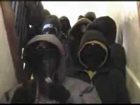 D.E.X. Ft. All Starz-Millitary Riddim Final