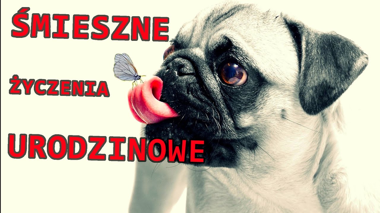 ŚMIESZNE ŻYCZENIA URODZINOWE - Dla Ciebie z okazji urodzin - ŻYCZENIA URODZINOWE 🎉