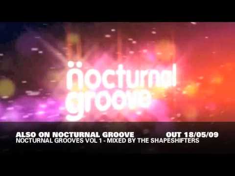 Dave Floyd & Pookie - Like This : Nocturnal Groove