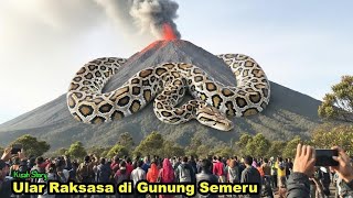 Download lagu JATIM GEGER! Ular Raksasa Muncul Sebelum Erupsi Gunung Semeru #KisahStory mp3 Download lagu JATIM GEGER! Ular Raksasa Muncul Sebelum Erupsi Gunung Semeru #KisahStory mp3