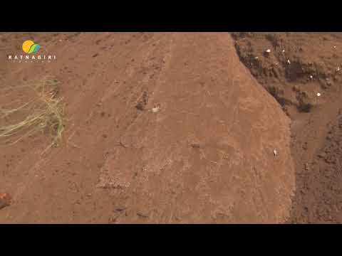 Kelshi Beach, Dapoli