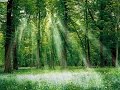 The Grandiose Narcissist-Relationsjips From The Outside In The Grandiose Narcissist-Relationsjips From The Outside In