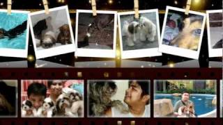 WeDogs ~ Angel In Disguise