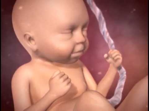 Pregnancy: Weeks 21-27 | BabyCenter Video in Spanish