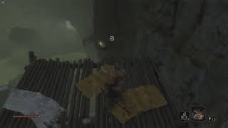 sekiro no gray death